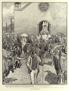 An Annual Festival in Tenerife, Blessing the Animals at San Antonio Abad